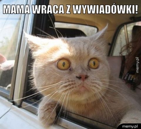 mama wraca z wywiadówki! 