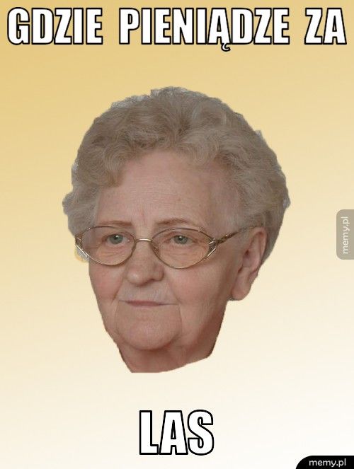 gdzie  pieniądze  za  las