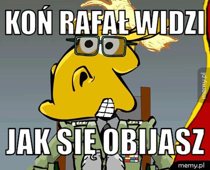 Koń rafał widzi jak się obijasz