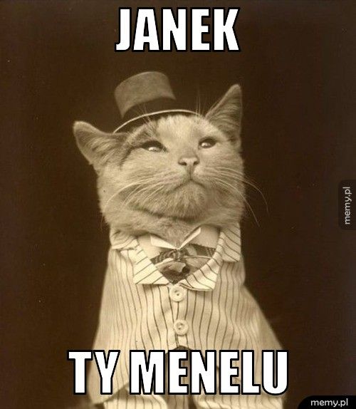 janek ty menelu