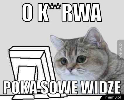 O k**rwa POKA SOWE WIDZE