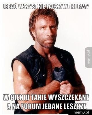 JEBAĆ WSZYSTKIE FAŁSZYWE KURWY W cieniu takie wyszczekane a na forum jebane leszcze