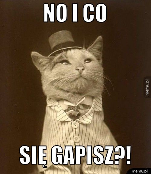 no i co się gapisz?!