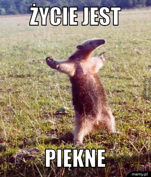 życie jest piękne
