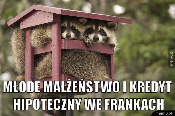  młode małżeństwo i kredyt hipoteczny we frankach
