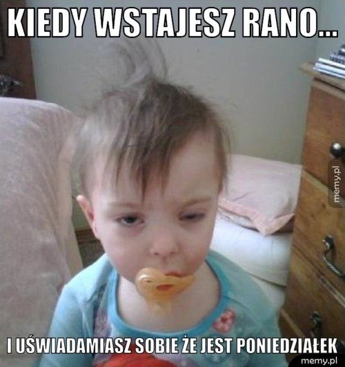 KIEDY WSTAJESZ RANO... I UŚWIADAMIASZ SOBIE ŻE JEST PONIEDZIAŁEK