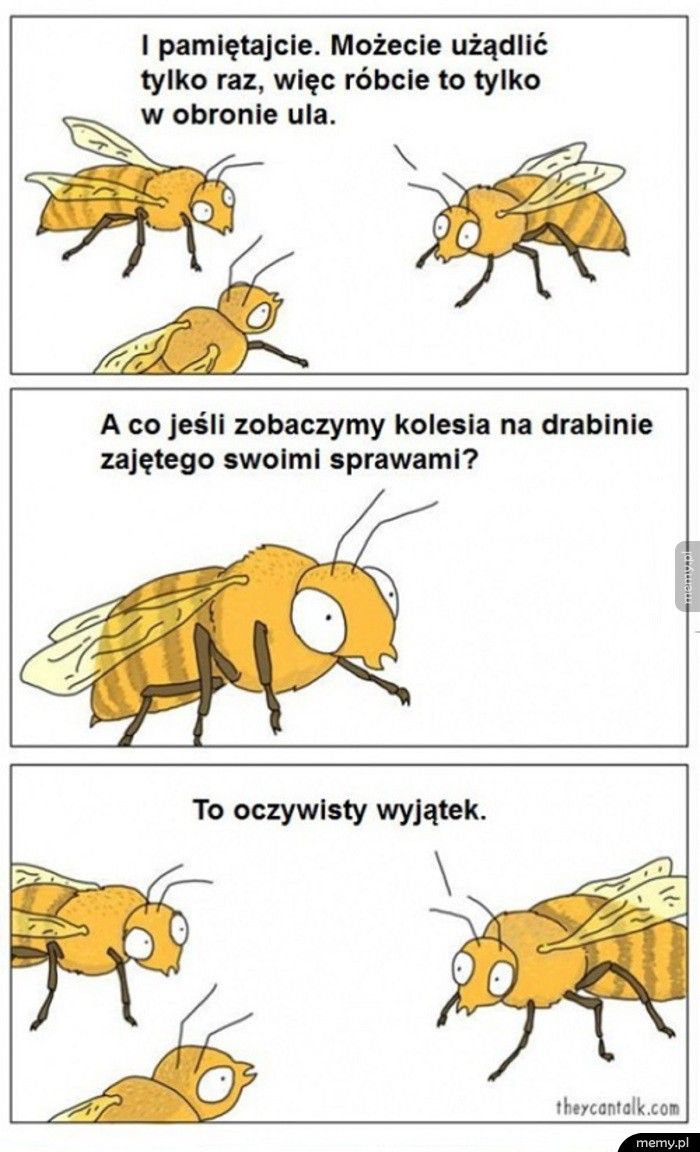 Logika pszczół
