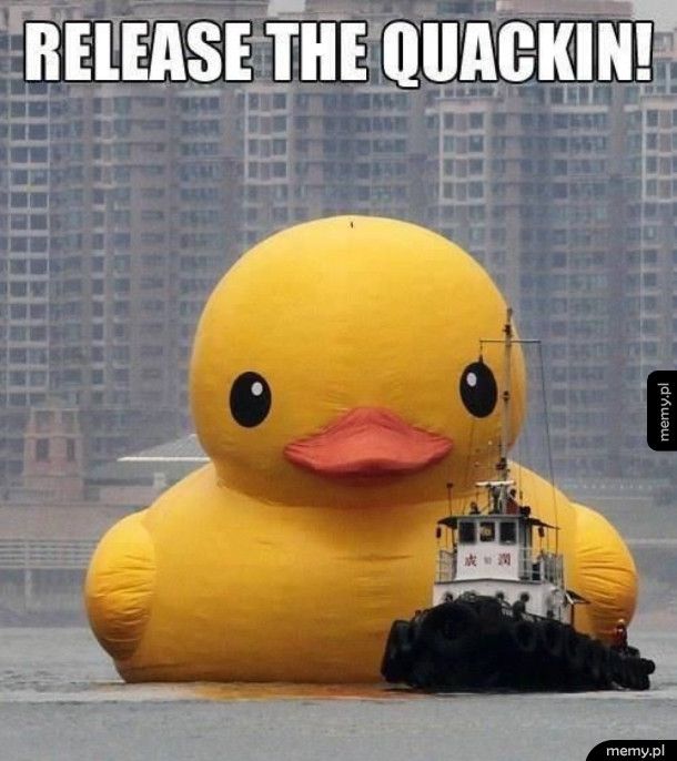 Groźny Quaken na wolności
