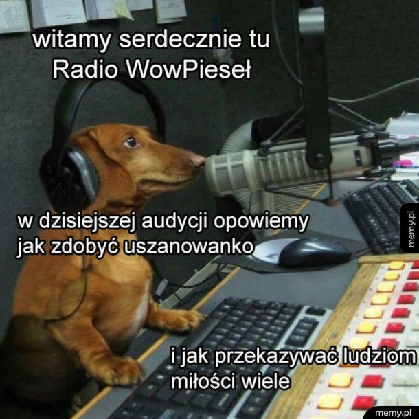 Radio Pieseł halo