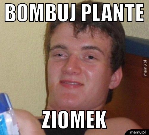 bombuj plante ziomek