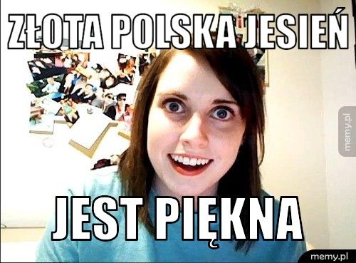 Złota polska jesień jest piękna