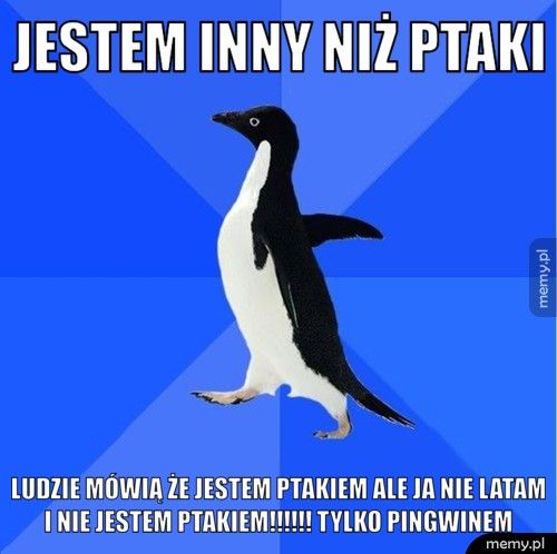 jestem inny niż ptaki ludzie mówią że jestem ptakiem ale ja nie latam i nie jestem pta