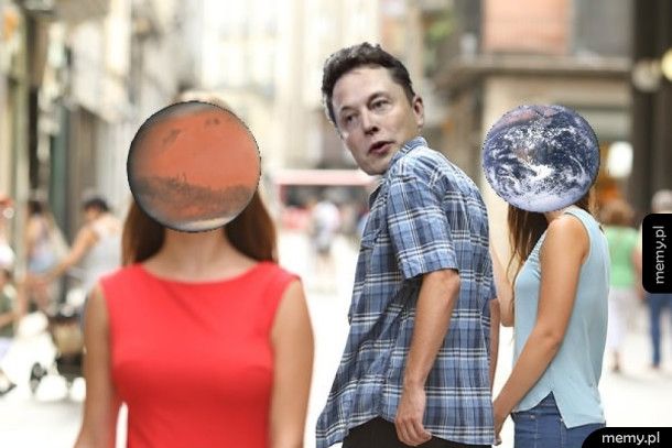Typowy Elon Musk