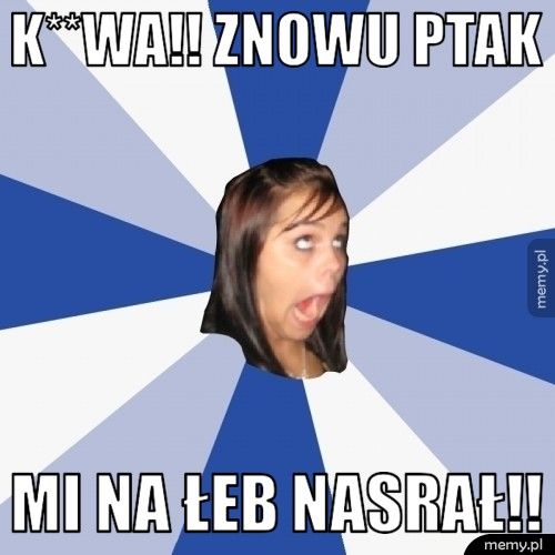 K**WA!! ZNOWU PTAK MI NA ŁEB NASRAŁ!!