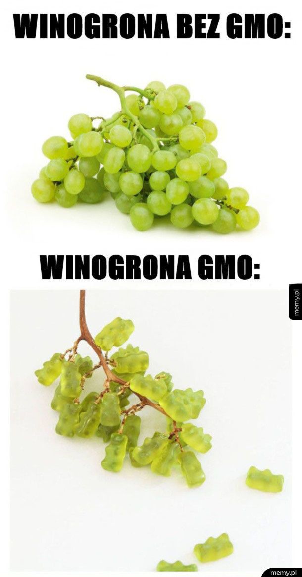 Niezdrowe winogrona