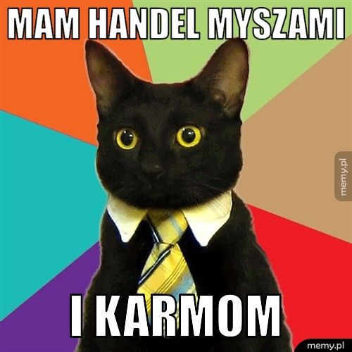 mam handel myszami i karmom