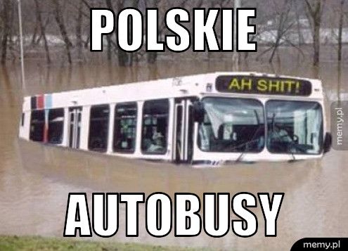 polskie autobusy