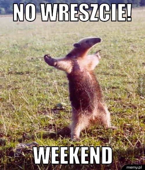 No wreszcie! Weekend