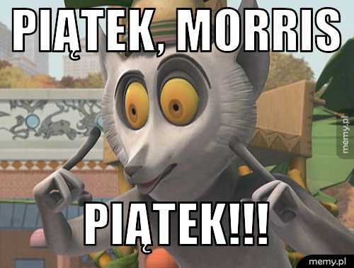 Piątek, Morris Piątek!!!