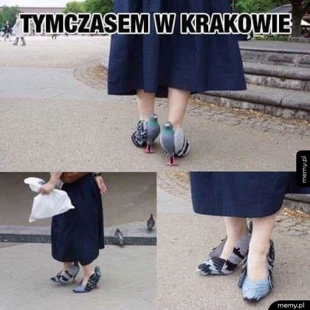 Krakowska moda