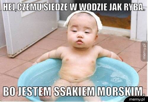 Hej,czemu siedze w wodzie jak ryba. bo jestem ssakiem morskim.