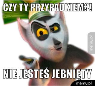 Czy ty przypadkiem?!  Nie jesteś jebnięty