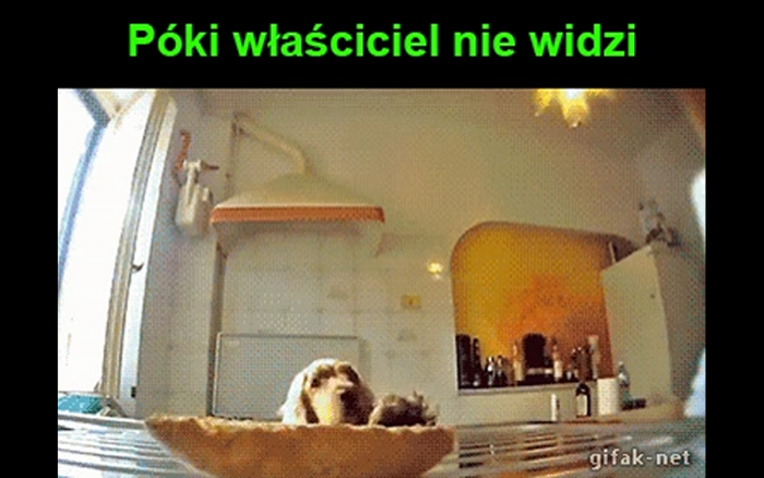 Pieseł