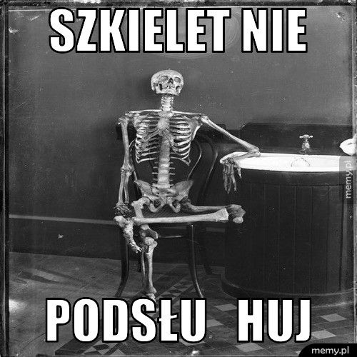 szkielet nie podsłu   huj