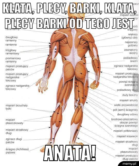 KLATA, PLECY, BARKI, KLATA, PLECY BARKI OD TEGO JEST ANATA!