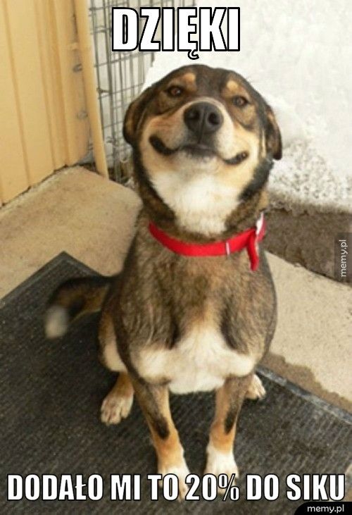 Dzięki Dodało mi to 20% do siku 