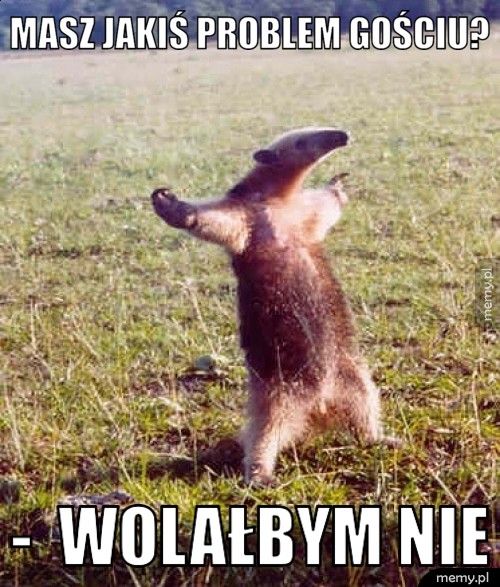Masz jakiś problem gościu? -  wolałbym nie