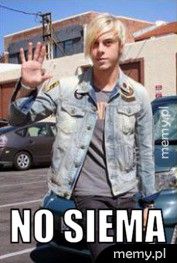  no siema 