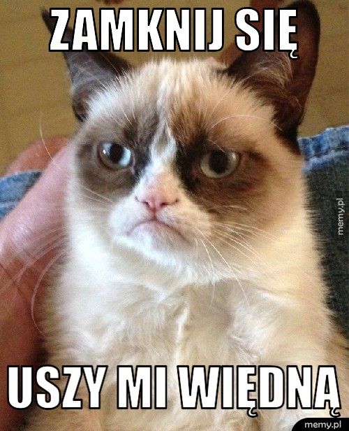 zamknij się uszy mi więdną