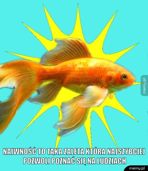 naiwność to taka zaleta która najszybciej pozwoli poznać się na