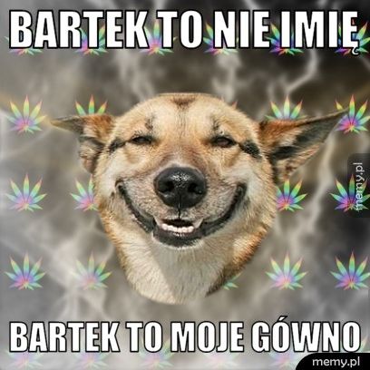 Bartek to nie imię Bartek to moje gówno