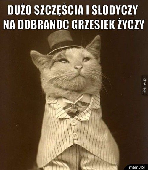 dużo szczęścia i słodyczy na dobranoc grzesiek życzy 