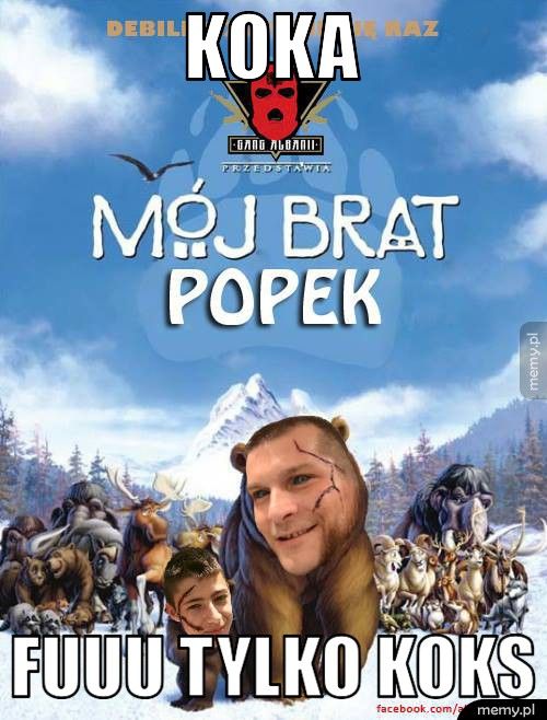 Koka Fuuu tylko Koks