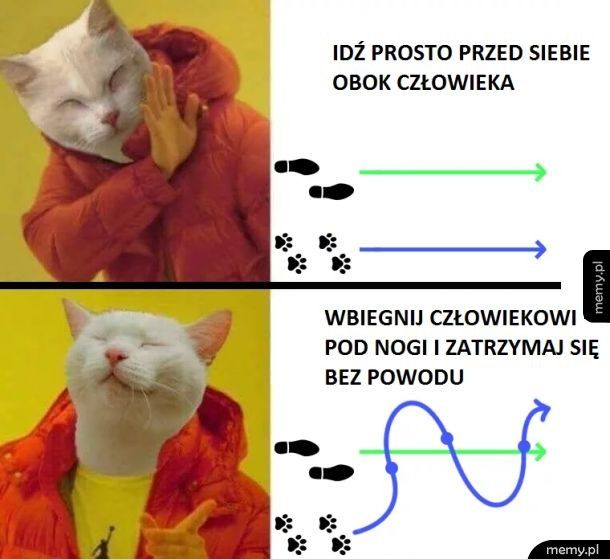 Logika kota