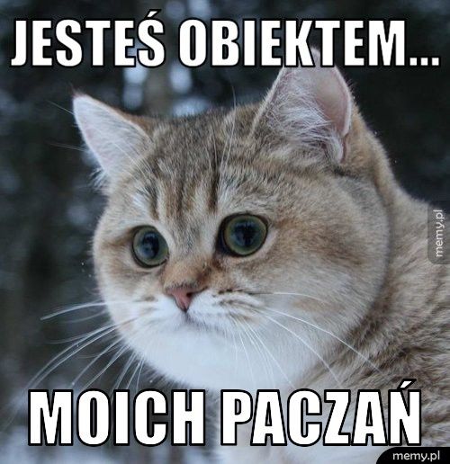 Jesteś obiektem... Moich paczań