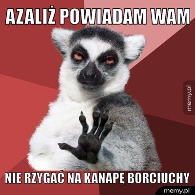 Azaliż powiadam wam nie rzygać na kanapę borciuchy