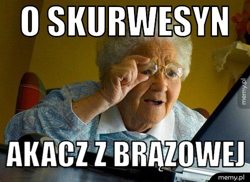 O skurwesyn Akacz z brązowej