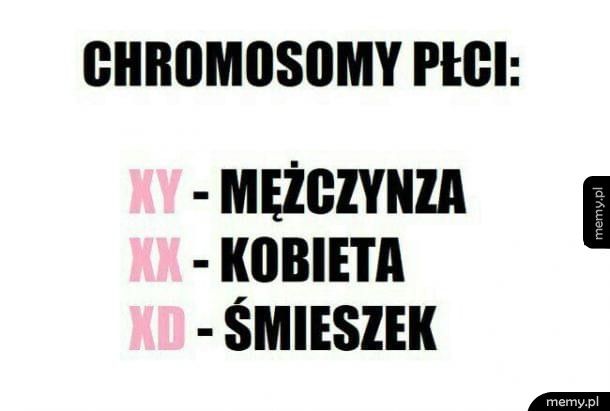 Chromosomy płci