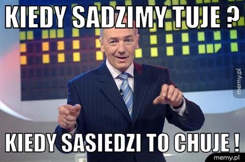 Kiedy sadzimy tuje ? Kiedy sasiedzi to chuje !
