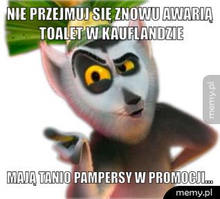 Nie przejmuj się znowu awarią toalet w KAUFLANDZIE Mają tanio Pampersy w promocji...