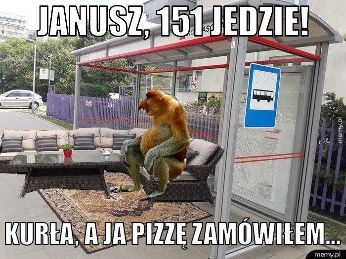 Janusz, 151 jedzie! kurła, a ja pizzę zamówiłem...