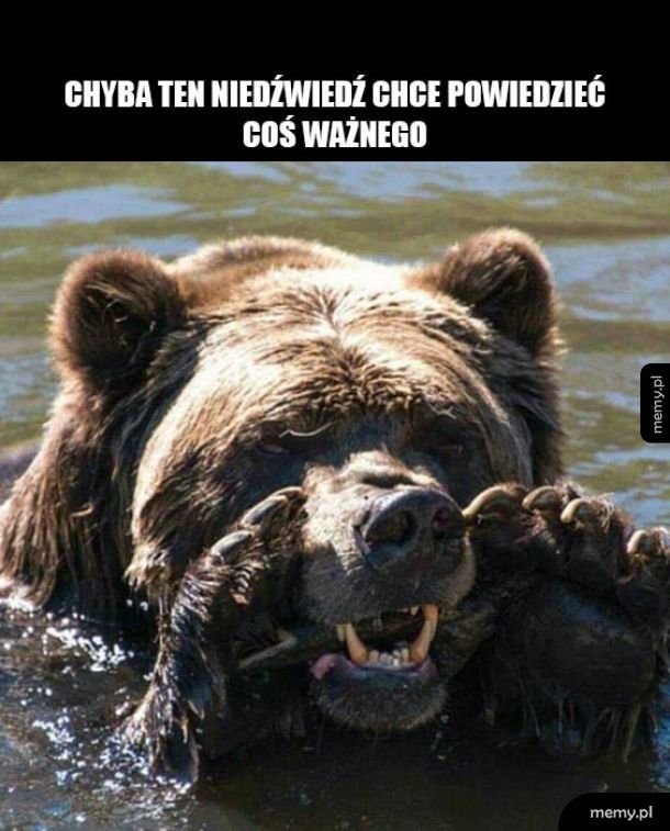 Niedźwiedzieł