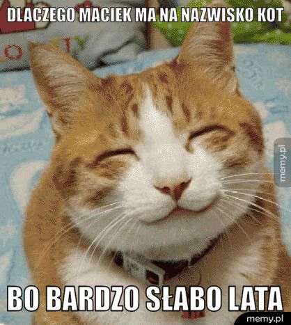 Dlaczego maciek ma na nazwisko kot Bo bardzo słabo lata