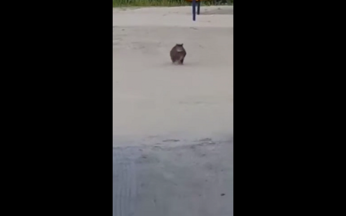 Kiedy mama woła na obiad