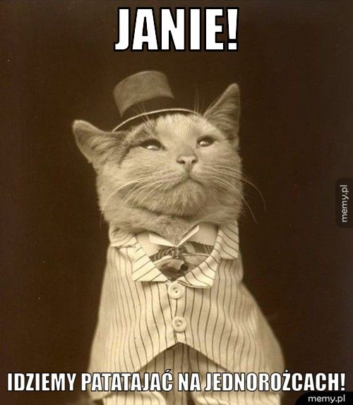 JANIE! IDZIEMY PATATAJAĆ NA JEDNOROŻCACH!