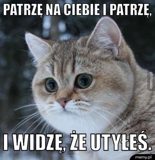 Patrzę na ciebie i patrzę,  i widzę, że utyłeś. 